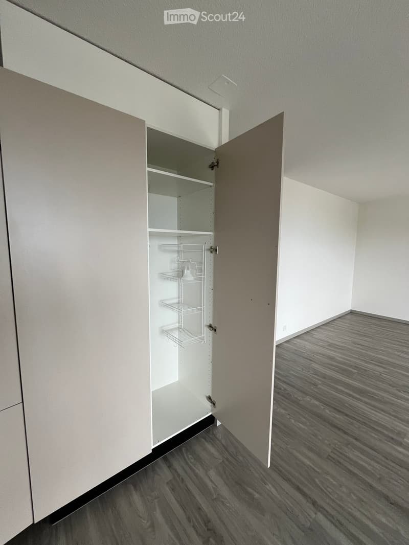 Empty room with light-colored walls, dark wood flooring, and a built-in cabinet with open shelving.