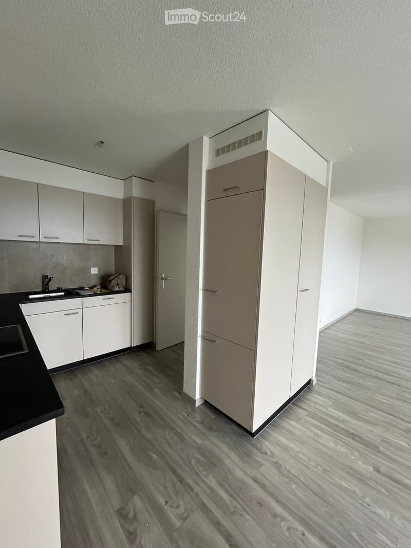Modern kitchen with white cabinets, dark countertop, and wooden flooring. A sink and faucet are visible, along with a small bag on the counter.