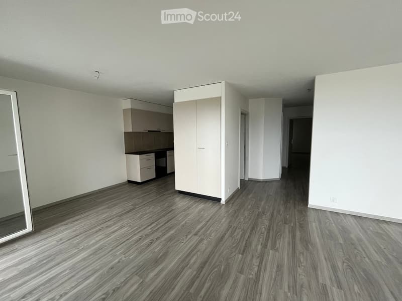 Empty room with light-colored walls, wooden flooring, and built-in cabinetry visible in the background.