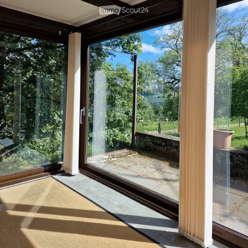Bright room with large glass windows offering a scenic view of a green landscape and grazing animals. The room features a beige rug on the floor and a small potted plant on the windowsill.