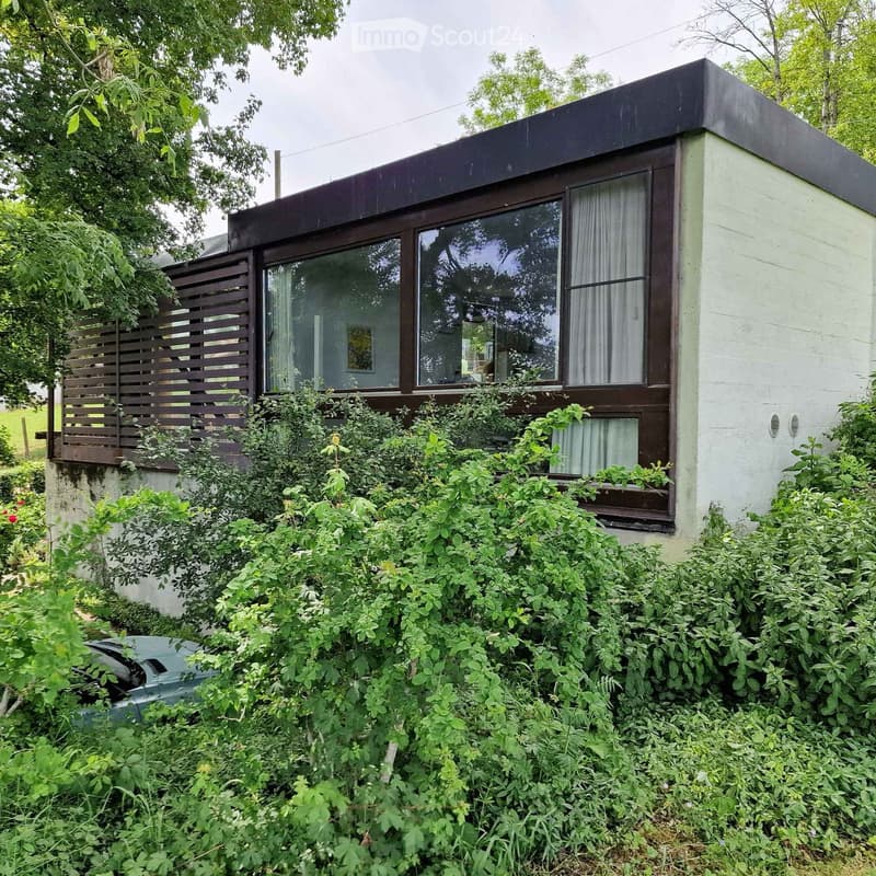 A modern, two-story house with a flat roof, large windows, and a wooden deck surrounded by lush greenery.