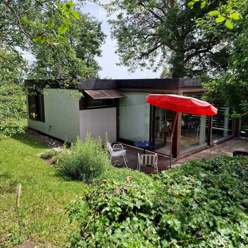 Outdoor patio area with a table, chairs, and an umbrella, adjacent to a modern house with large windows and a covered entrance.