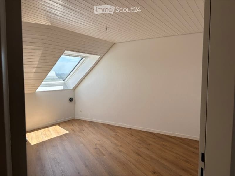 Empty attic room with wooden flooring, white walls, and a skylight window allowing natural light.