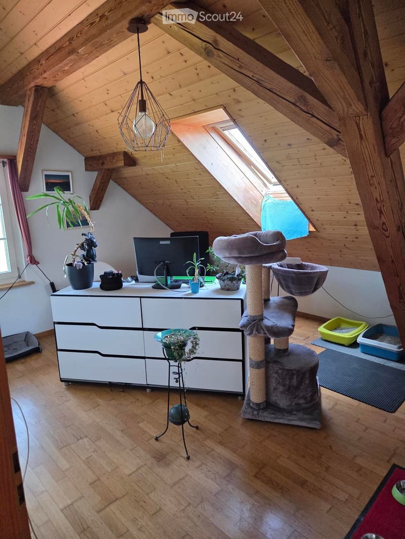 A cozy attic room with wooden beams and slanted ceilings, featuring a cat tree, a white cabinet, a computer screen, and several plants.