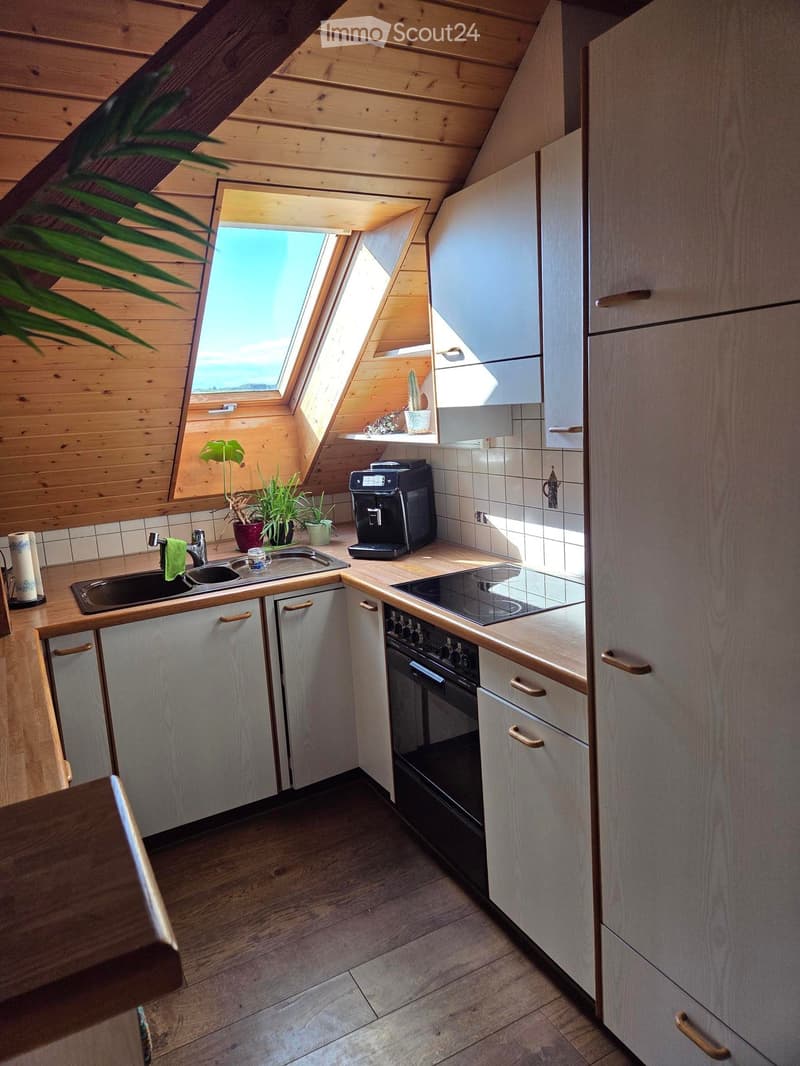 Modern kitchen with wooden cabinets, stainless steel sink, induction stove, oven, coffee maker, and potted plants on the windowsill.