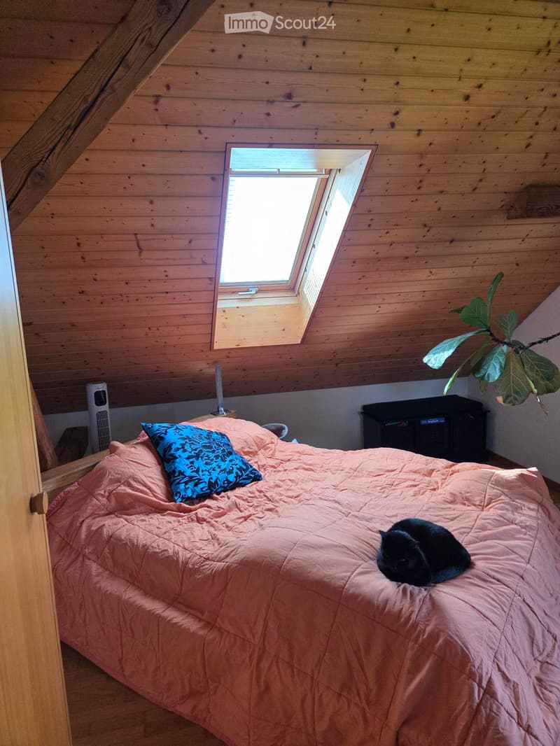 Cozy attic bedroom with wooden walls and slanted ceiling, featuring a bed with pink bedding, a blue decorative pillow, a black cat, a small fan, and a leafy plant in the corner.