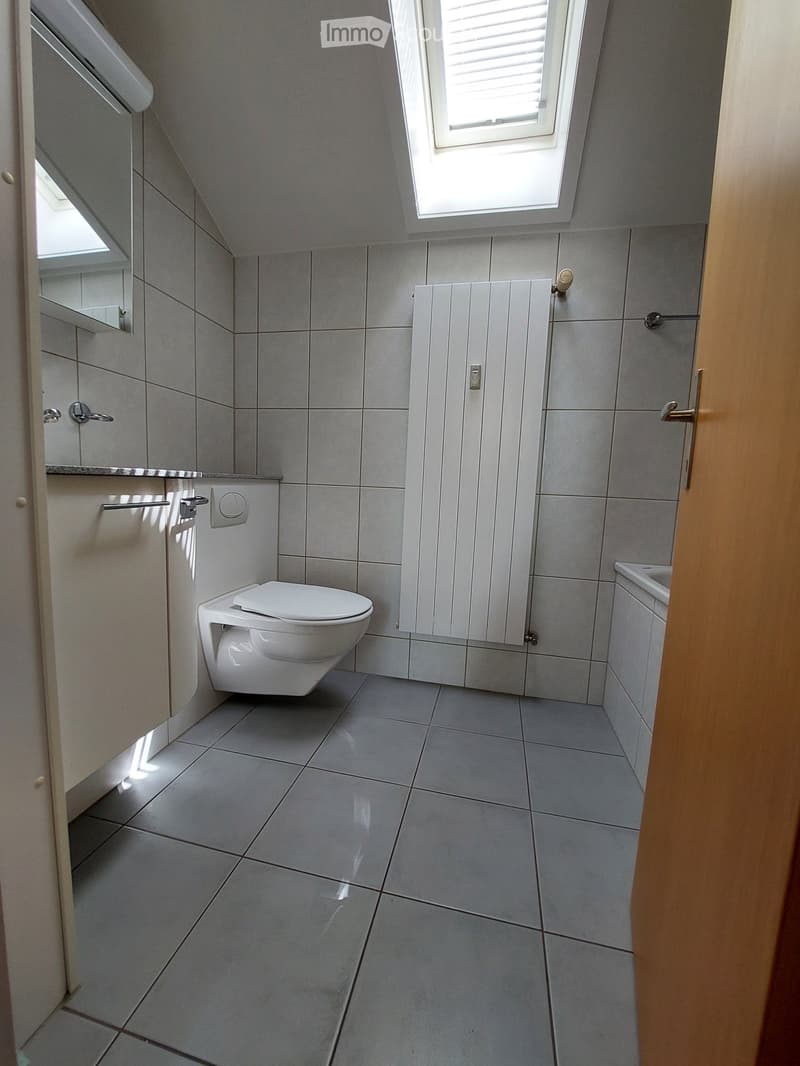 Modern bathroom with grey tiles, white toilet, mirrored cabinet, and built-in storage.