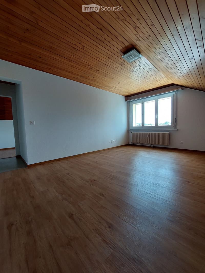 Empty room with wooden flooring, white walls, and a large window with white frames. The ceiling is wooden with a slanted design, and there is a radiator below the window.