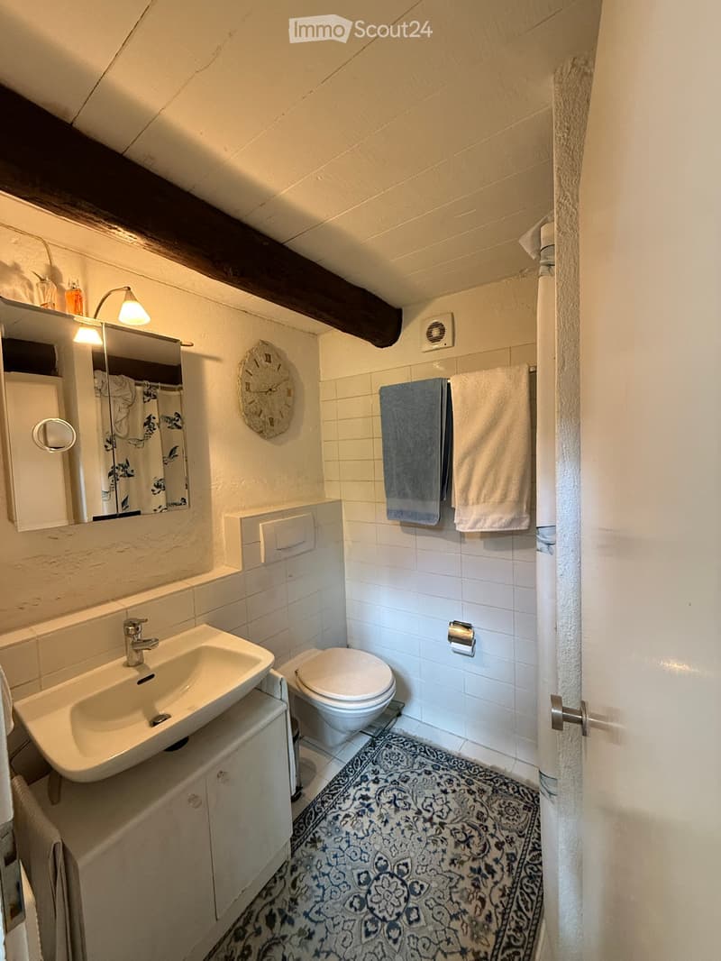 Cozy bathroom with a sink, toilet, mirror, and decorative clock. Features exposed wooden beams and a patterned rug.
