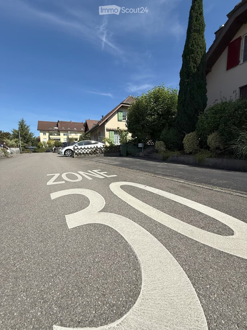 Residential street with houses, parked cars, and greenery. Road markings indicate a 30 km/h zone.
