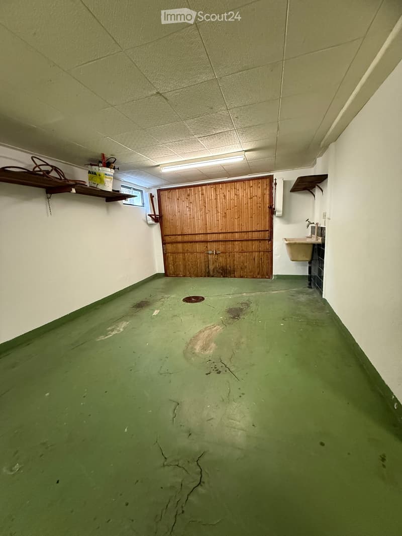 empty basement with wooden door, tiled walls, green floor, small sink, wooden shelf with box, window, light