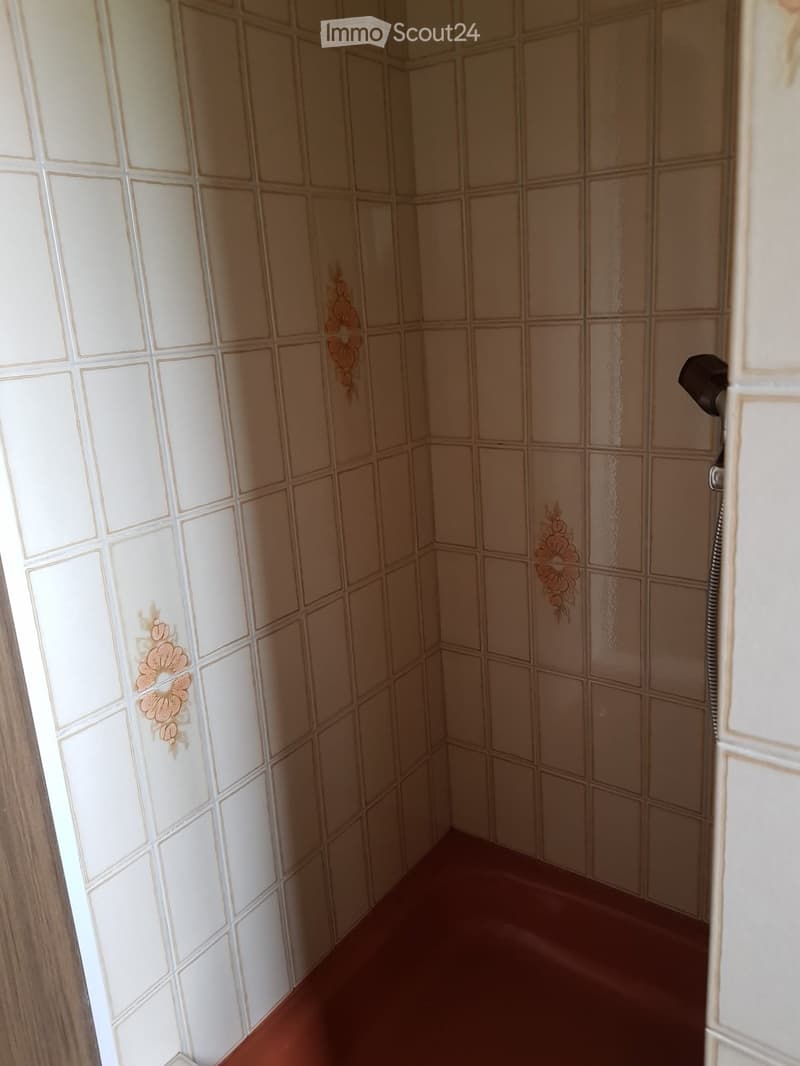 Small shower area with beige tiled walls and a red floor, featuring a decorative floral pattern on the tiles and a visible showerhead.