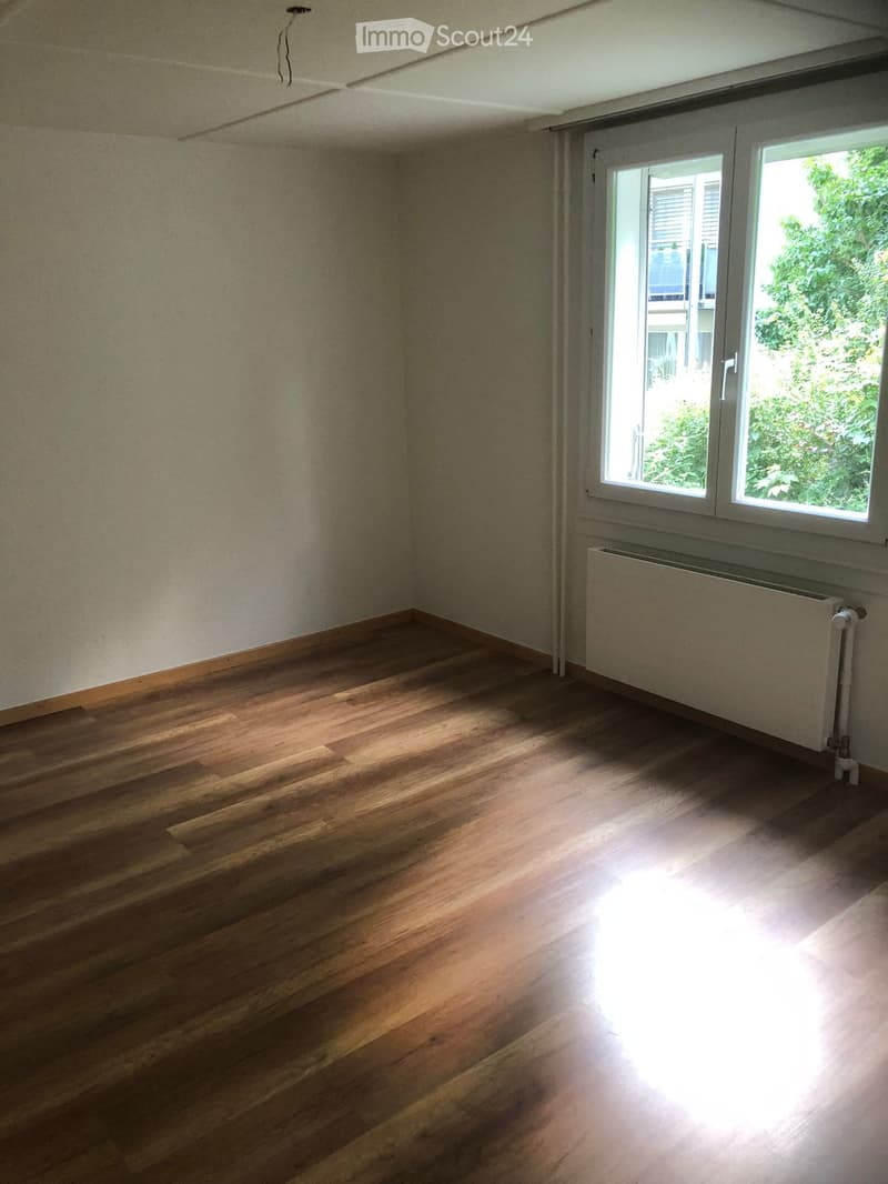 Empty room with wooden flooring, white walls, and a large window with a view of greenery outside. A radiator is visible under the window.