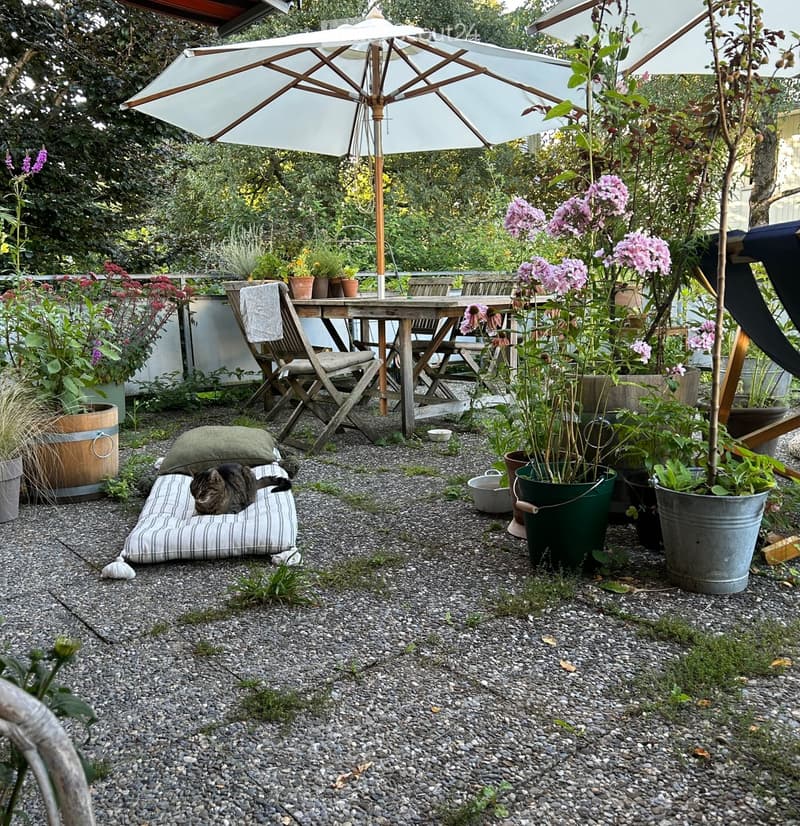 Garden area with a wooden table, chairs, umbrella, potted plants, and a cat resting on a cushioned bed.