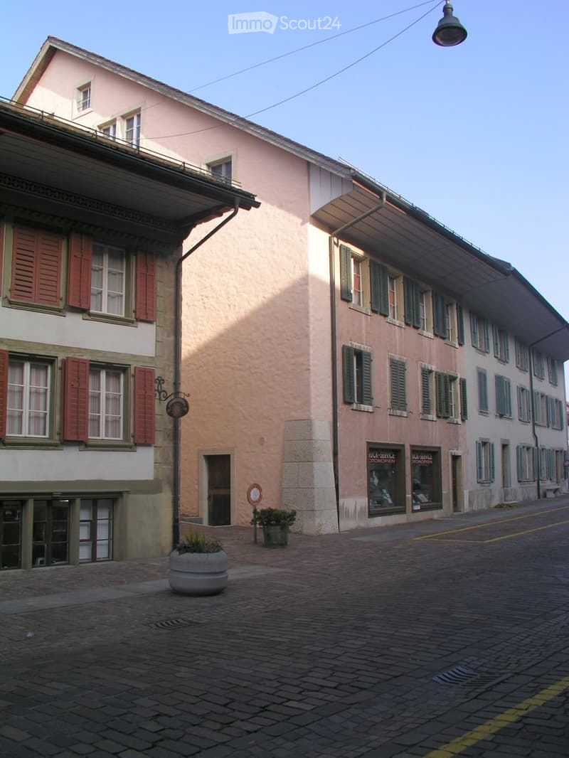 Two buildings with multiple windows, red shutters, and a streetlight. The buildings have a brick wall and a stone pavement in front.
