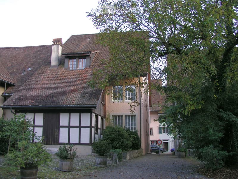 Traditional house with brown roof, wooden door, multiple windows, surrounded by plants and trees, cobblestone driveway