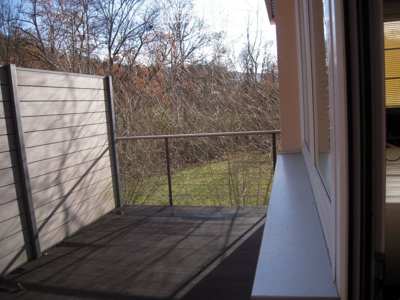 Terrasse hinten ,Ausgang durch die Küche