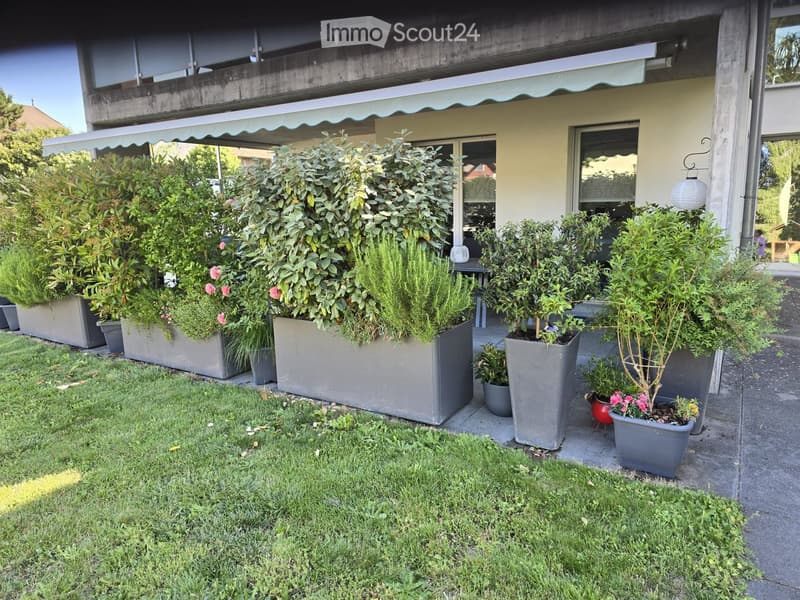 Garden area with neatly trimmed grass, large grey planters filled with various plants and flowers, and a small table and chairs near the building entrance.
