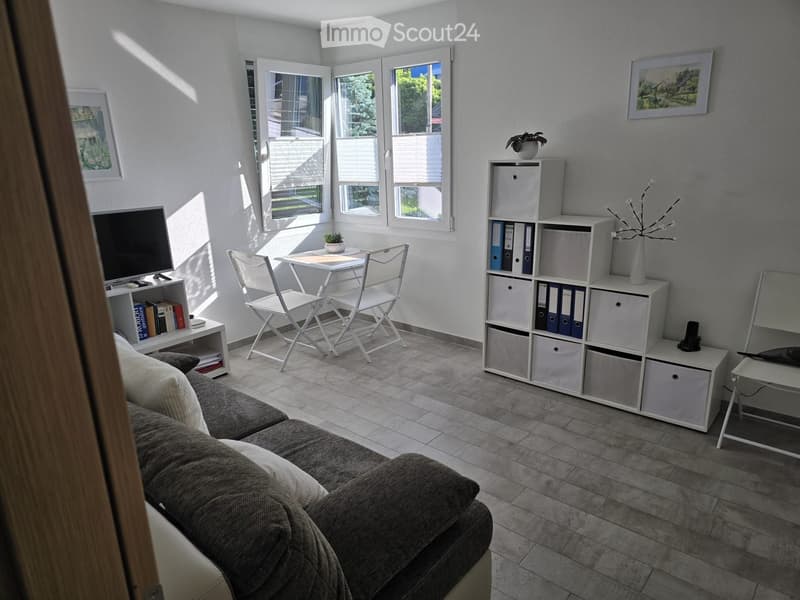 A modern living room with a grey sofa, a small table with chairs, a shelf with books and a screen, and a storage unit with binders and a vase.