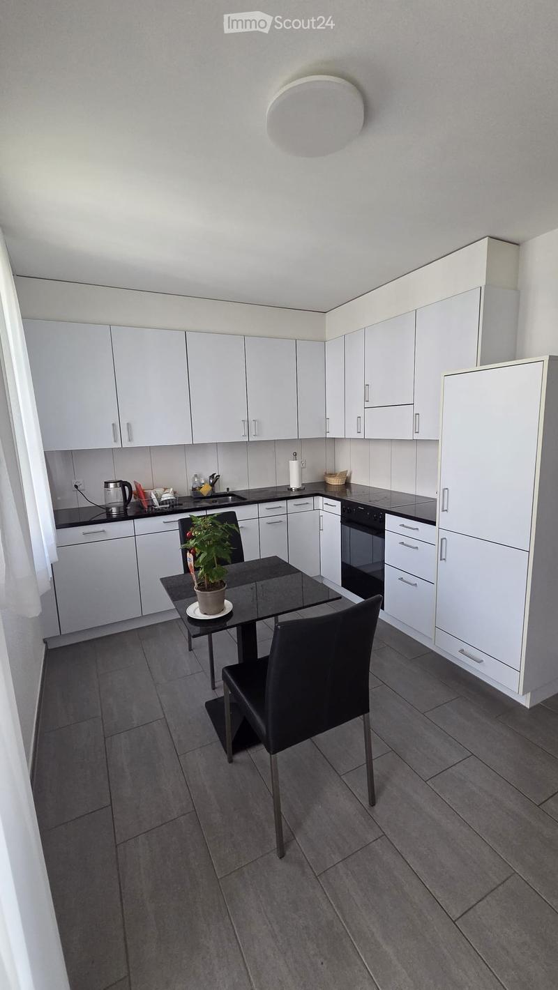 Modern kitchen with white cabinets, black countertops, a small dining area with a black table and chair, and a potted plant on the table.