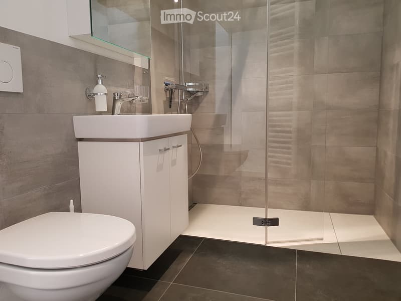 Modern bathroom with a white toilet, sink, and cabinet, along with a glass-enclosed shower area.