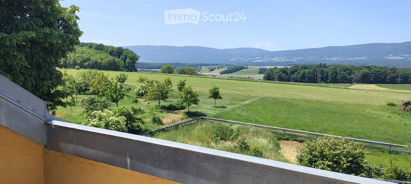 Balcony overlooking a lush green field with scattered trees and distant hills under a clear blue sky.