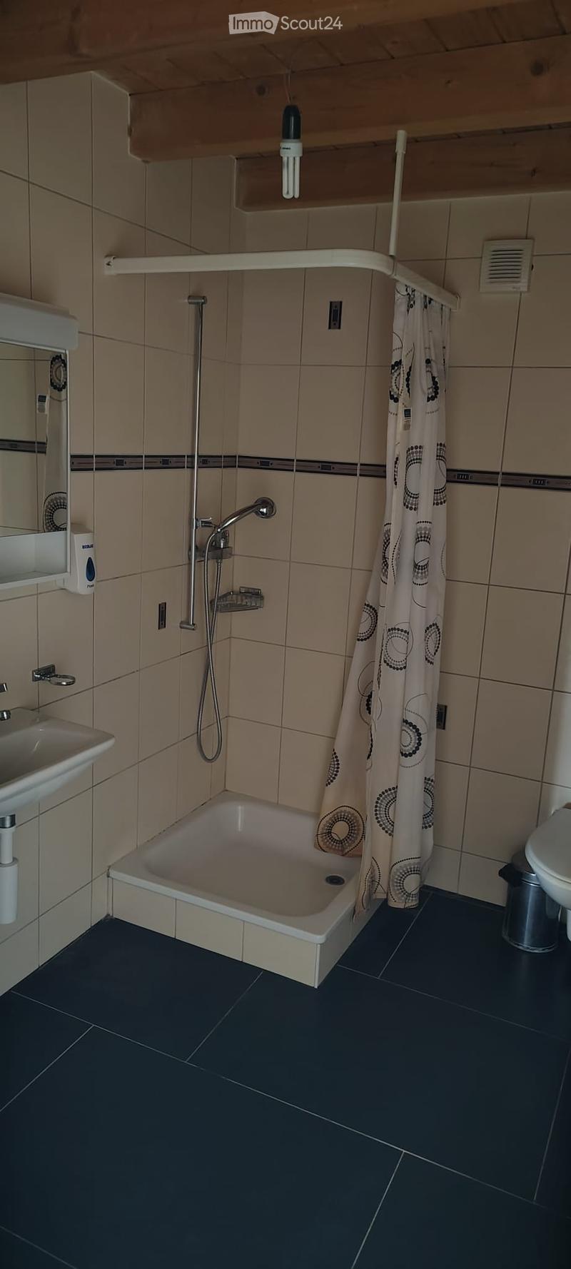 Bathroom with a bathtub, toilet, sink, shower curtain, and a handheld showerhead.