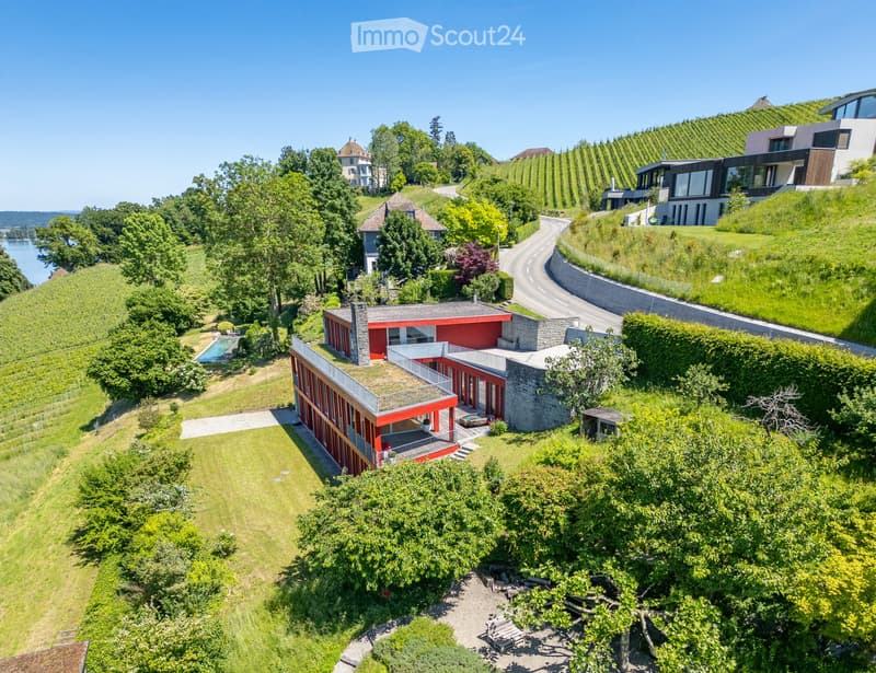 Aerial view of a modern red house with a green roof, surrounded by lush greenery, a swimming pool, and vineyards in the background.