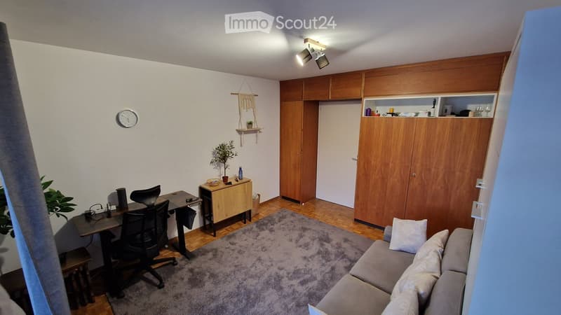 desk, chair, couch, rug, wooden cabinet, clock, plant, shelves, lights