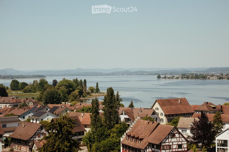 A panoramic view of a town with numerous houses featuring red-tiled roofs, surrounded by lush green trees and overlooking a calm lake with distant mountains in the background.
