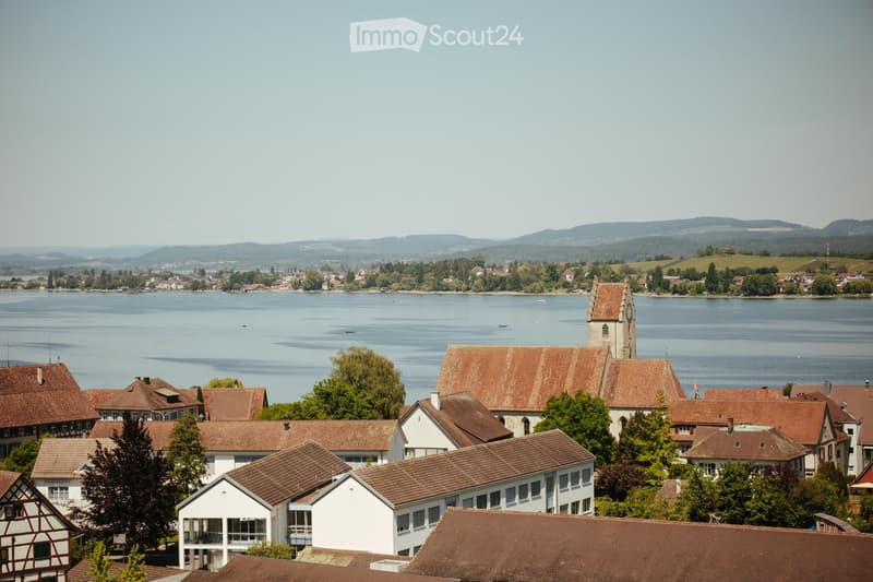 A panoramic view of a town with traditional houses, a church tower, and a lake in the background, surrounded by trees and distant hills.