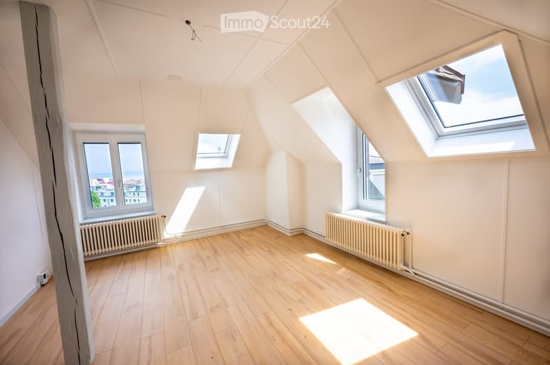 Empty attic room with wooden flooring, white walls, multiple windows including skylights, and radiators along the walls.