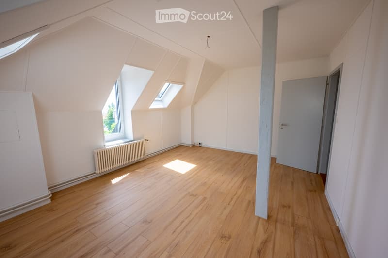 Empty attic room with wooden flooring, white walls, skylight windows, and a radiator. No furniture or equipment present.