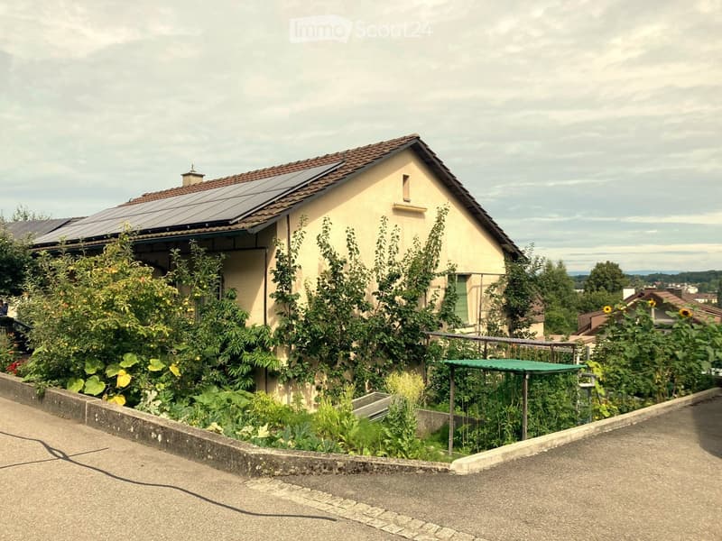 Single-family house with solar panels on the roof, surrounded by a garden with various plants and vegetables.