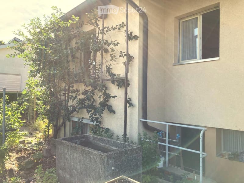 A beige building with a window and a pipe on the wall. A concrete water tank is in front of the building. A plant is growing on the wall with a metal structure. A white railing is on the right side of the building. A white door is on the right side of the