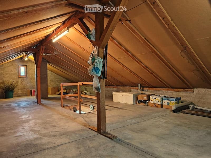 An attic space with wooden beams, a concrete floor, and various storage boxes and bags hanging from the ceiling. There is a small window on the left wall and a potted plant near the wall.