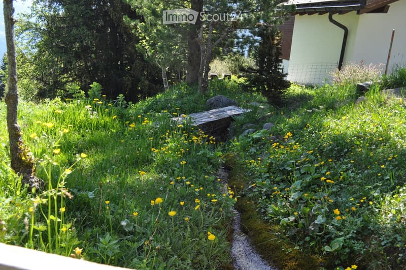 A lush garden area with a variety of yellow flowers, green grass, and a small water stream running through it. There are trees and a wooden bench in the background, along with a light-colored building partially visible.