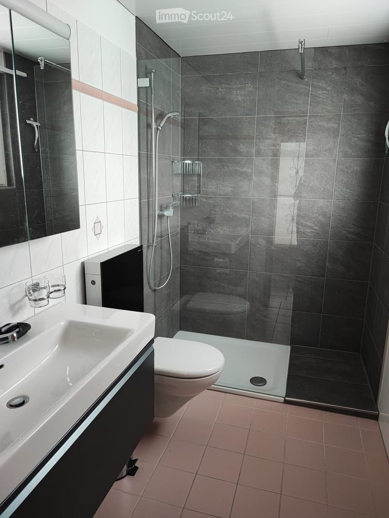 Modern bathroom with white sink, toilet, glass-enclosed shower, and dark grey tiles.