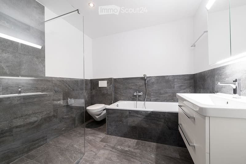 Modern bathroom with dark grey tiles, a bathtub, toilet, sink, and a large mirror. Features a glass-enclosed shower area with a sleek design.
