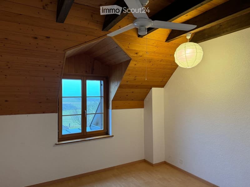 empty room, wooden ceiling, white ceiling fan, white lamp, window, wooden floor