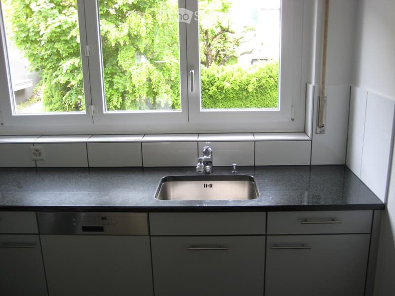 Modern kitchen with a stainless steel sink, faucet, and built-in dishwasher, featuring grey cabinets and a dark countertop.