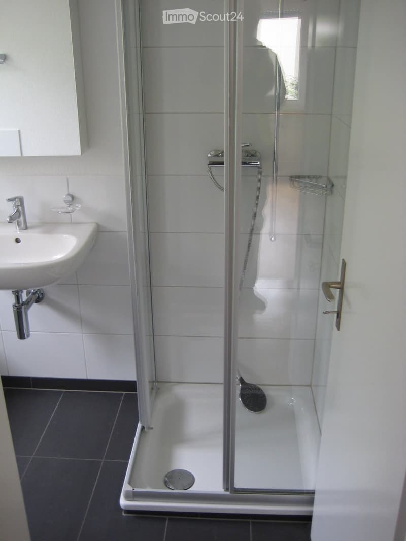 Modern bathroom with a white sink, chrome faucet, and a glass-enclosed shower with a built-in seat and shower tray.