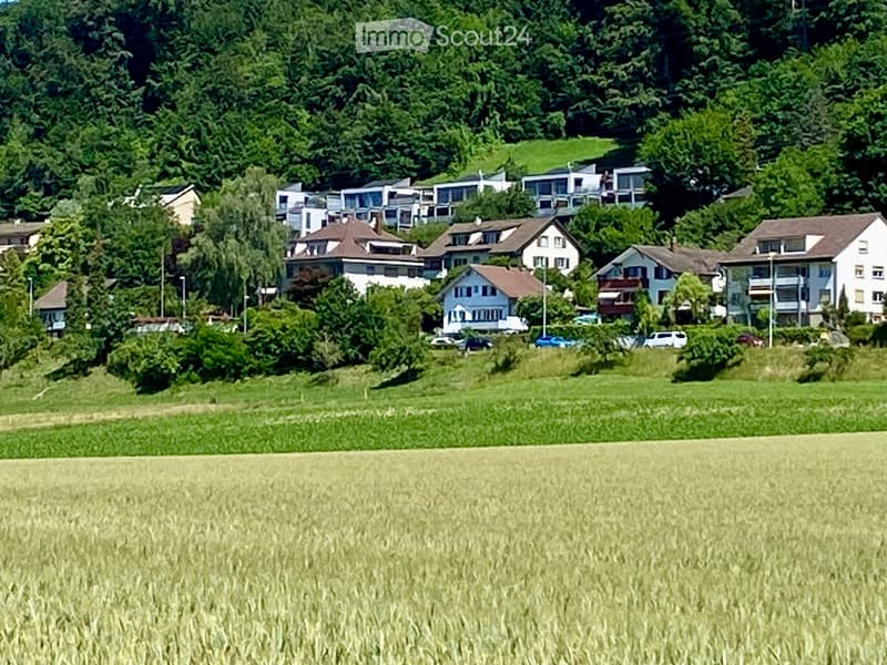 Residential area with multiple houses, surrounded by green fields and trees. Houses have varied architectural styles, some with balconies and garages.