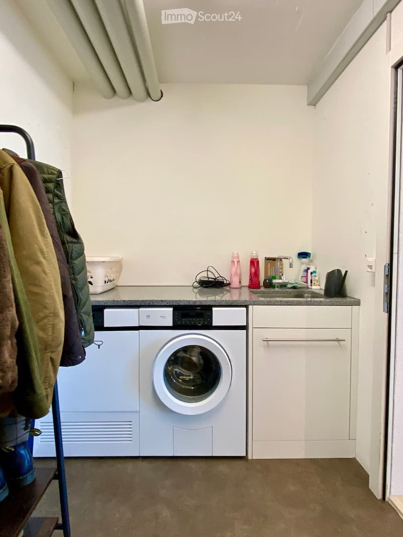 Laundry room with a washing machine, sink, cabinet, and various cleaning supplies on the counter.