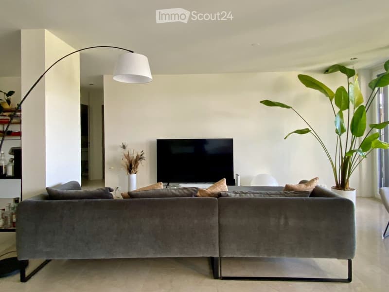 Modern living room with a grey sectional sofa, flat-screen TV, floor lamp, large potted plant, and decorative vase with dried flowers.