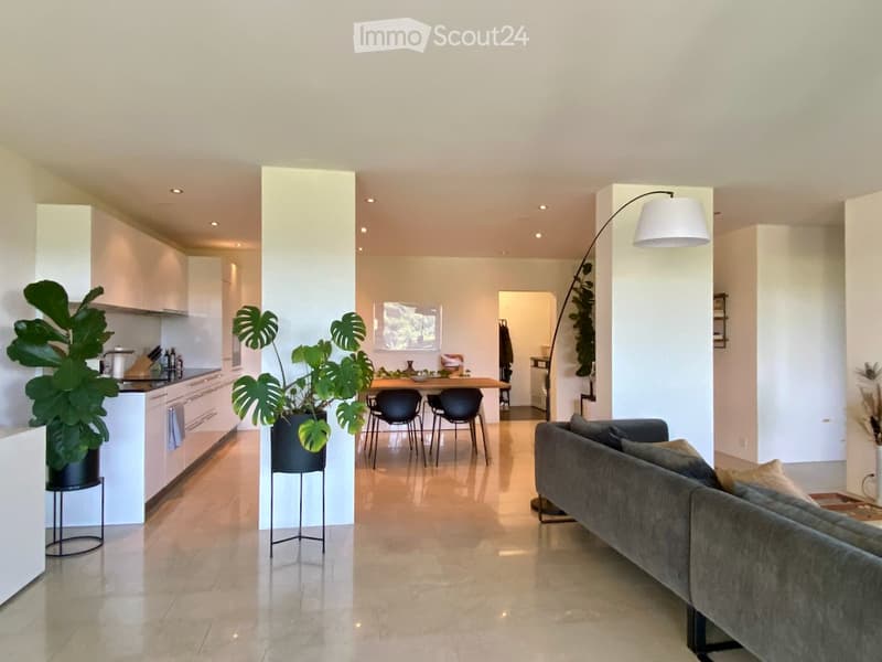 Open-plan living and dining area with a grey sofa, dining table with chairs, modern kitchen cabinets, and large potted plants.