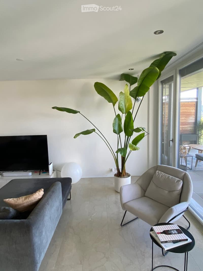 Modern living room with a grey sofa, armchair, small table with books, large leafy plant, and a large screen. The room has a light-colored tile floor and large windows leading to a balcony.