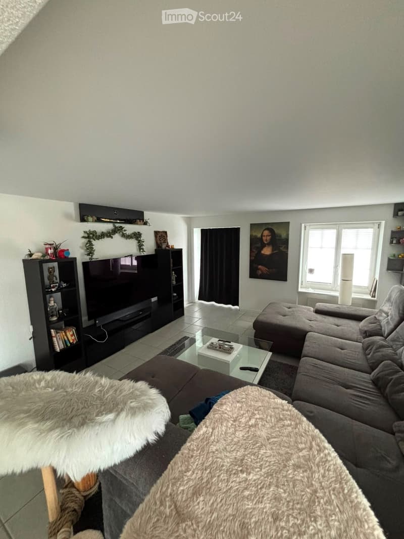 Modern living room with grey sectional sofa, fur throws, glass coffee table, TV stand, bookshelf, and large window letting in natural light.