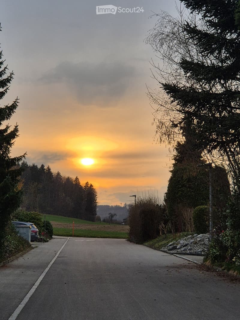 A quiet residential street at sunset, surrounded by trees and greenery, with a parked car visible on the left side.