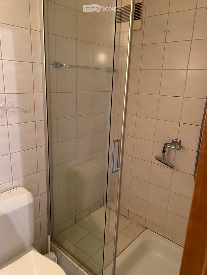 Modern bathroom with a glass-enclosed shower, tiled walls, and a toilet. Shower handle and glass door are visible.